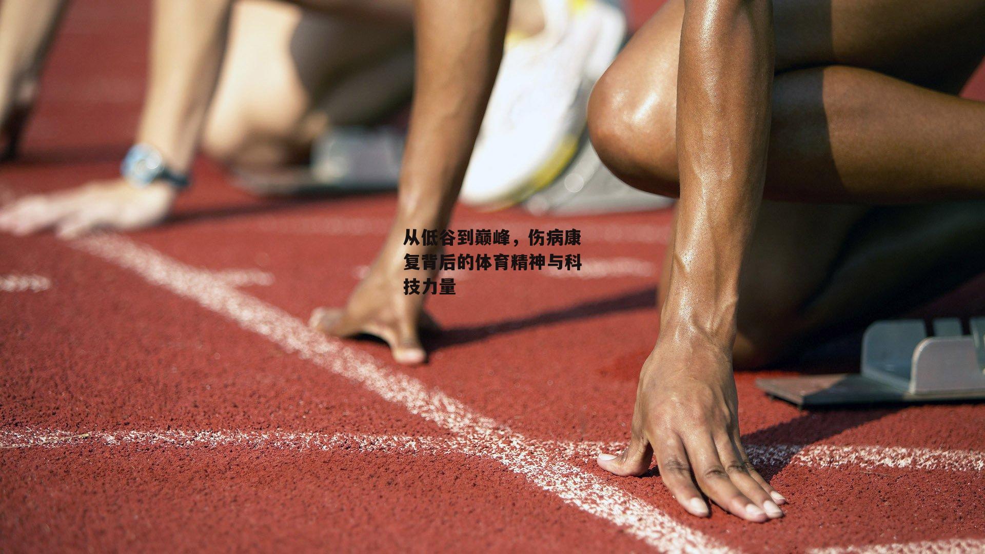 从低谷到巅峰，伤病康复背后的体育精神与科技力量